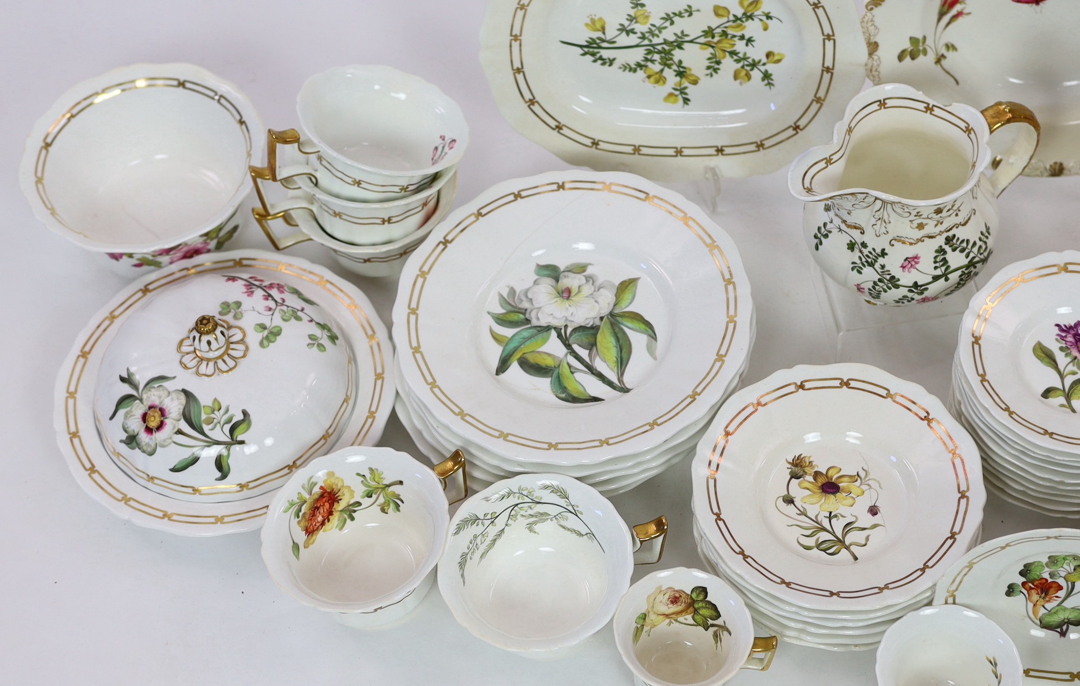 A rare Rockingham botanical specimen part breakfast service, griffin statant mark, c.1826, with some matching pieces, c.1830-5